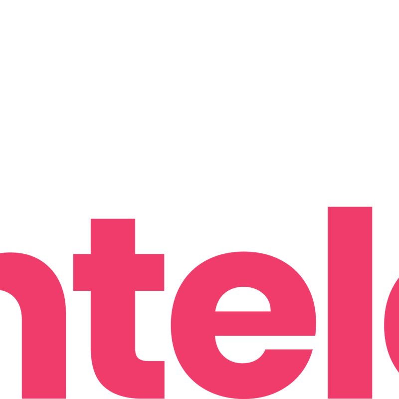 Intelect - Ekonomika